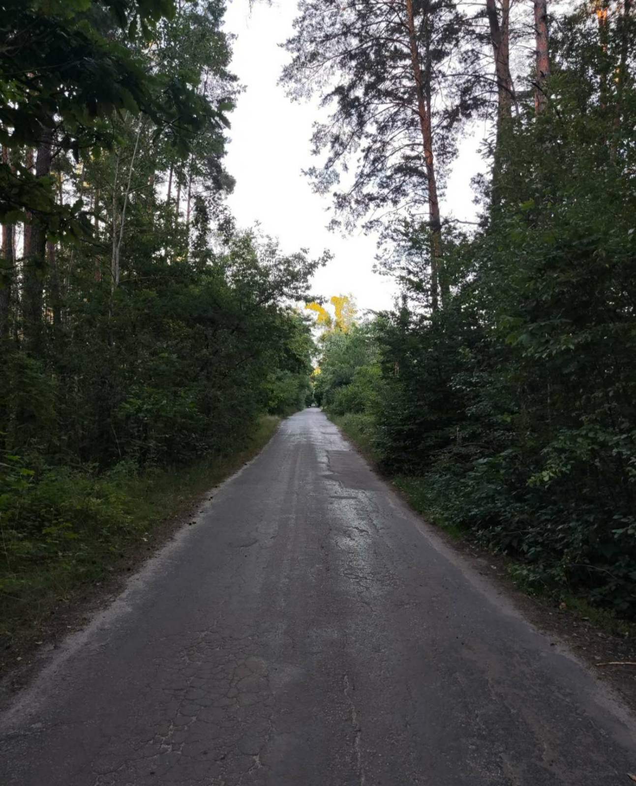 Ділянка під будівництво житлового будинку